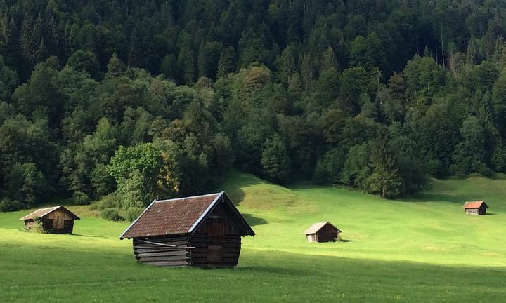 Alpenbiomarkt